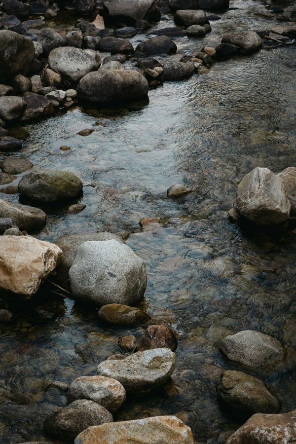 Mindful movement