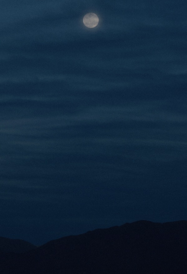 Ocean sleep